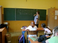 Zdjęcie: 16