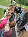 Zdjęcie: 37
