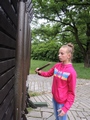 Zdjęcie: 63