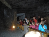 Zdjęcie: 5