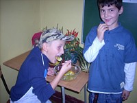 Zdjęcie: 13