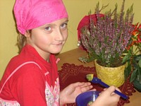 Zdjęcie: 2