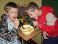 Zdjęcie: 7