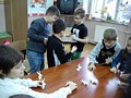 Zdjęcie: 14