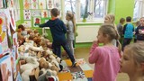 Zdjęcie: 7