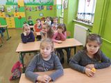 Zdjęcie: 36