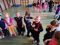 Zdjęcie: 33