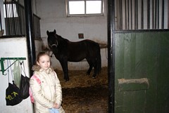 Zdjęcie: 16