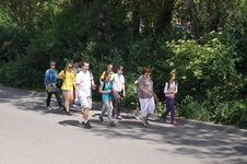 Zdjęcie: 15