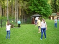 Zdjęcie: 16