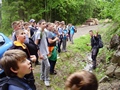 Zdjęcie: 8