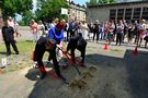 Zdjęcie: 55