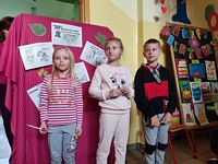 Zdjęcie: 18