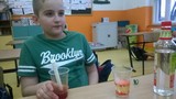 Zdjęcie: 12