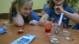 Zdjęcie: 7