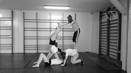 Zdjęcie: 31