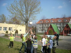 Zdjęcie: 6