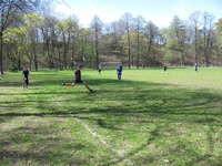 Zdjęcie: 11