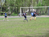 Zdjęcie: 14