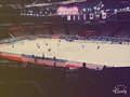 Zdjęcie: 5