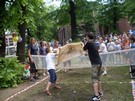 Zdjęcie: 81