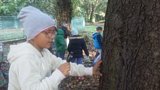 Zdjęcie: 16
