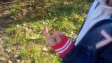 Zdjęcie: 18