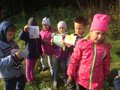 Zdjęcie: 31