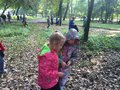 Zdjęcie: 33
