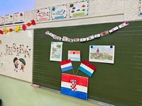 Zdjęcie: 14