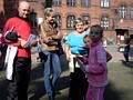Zdjęcie: 93