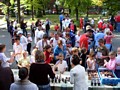 Zdjęcie: 95