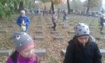 Zdjęcie: 16