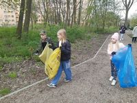 Zdjęcie: 36