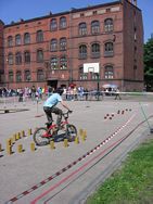 Zdjęcie: 6