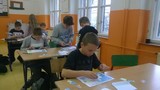Zdjęcie: 12