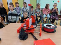 Zdjęcie: 11