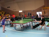 Zdjęcie: 16