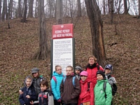 Zdjęcie: 13