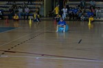 Zdjęcie: 56