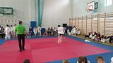Zdjęcie: 101