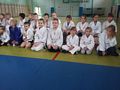 Zdjęcie: 37