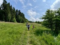 Zdjęcie: 108