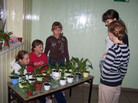 Zdjęcie: 39