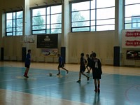 Zdjęcie: 16