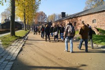 Zdjęcie: 17
