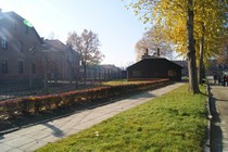 Zdjęcie: 16