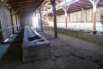 Zdjęcie: 27