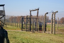 Zdjęcie: 34