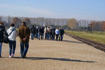 Zdjęcie: 35